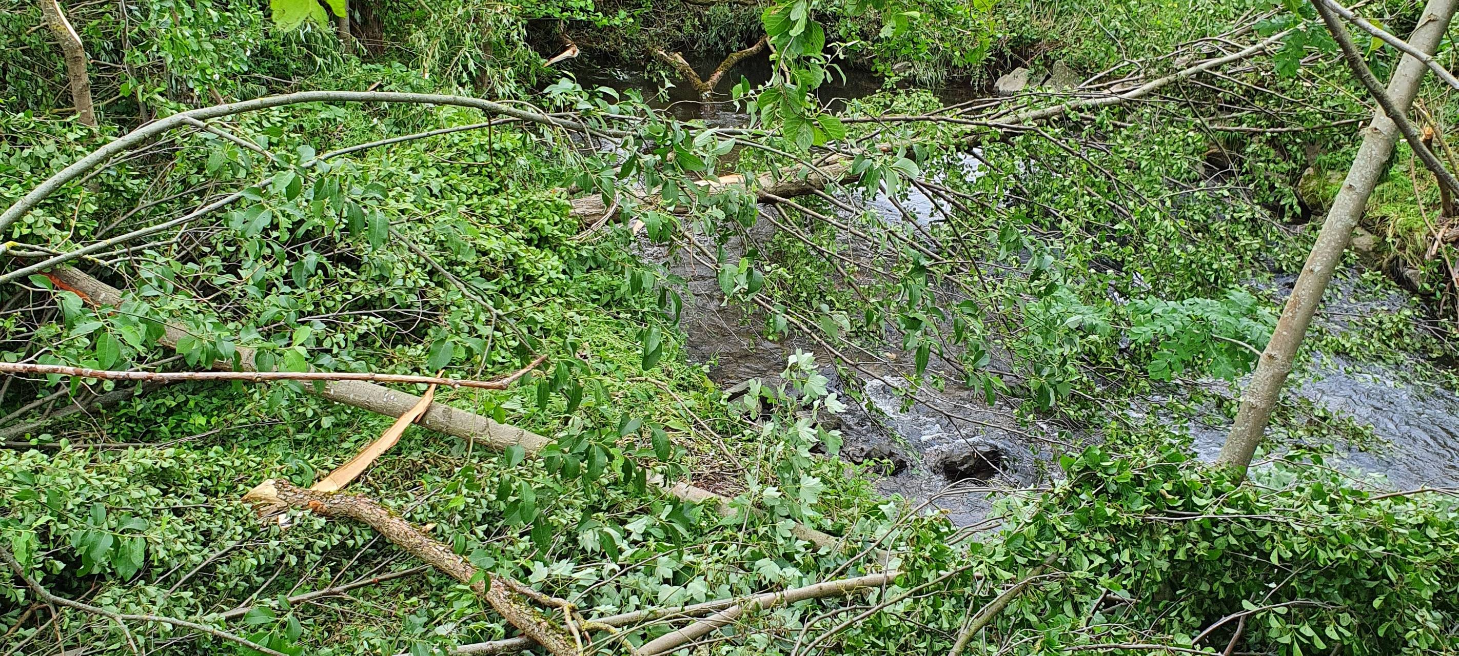 Mehr Tornados im Sauerland