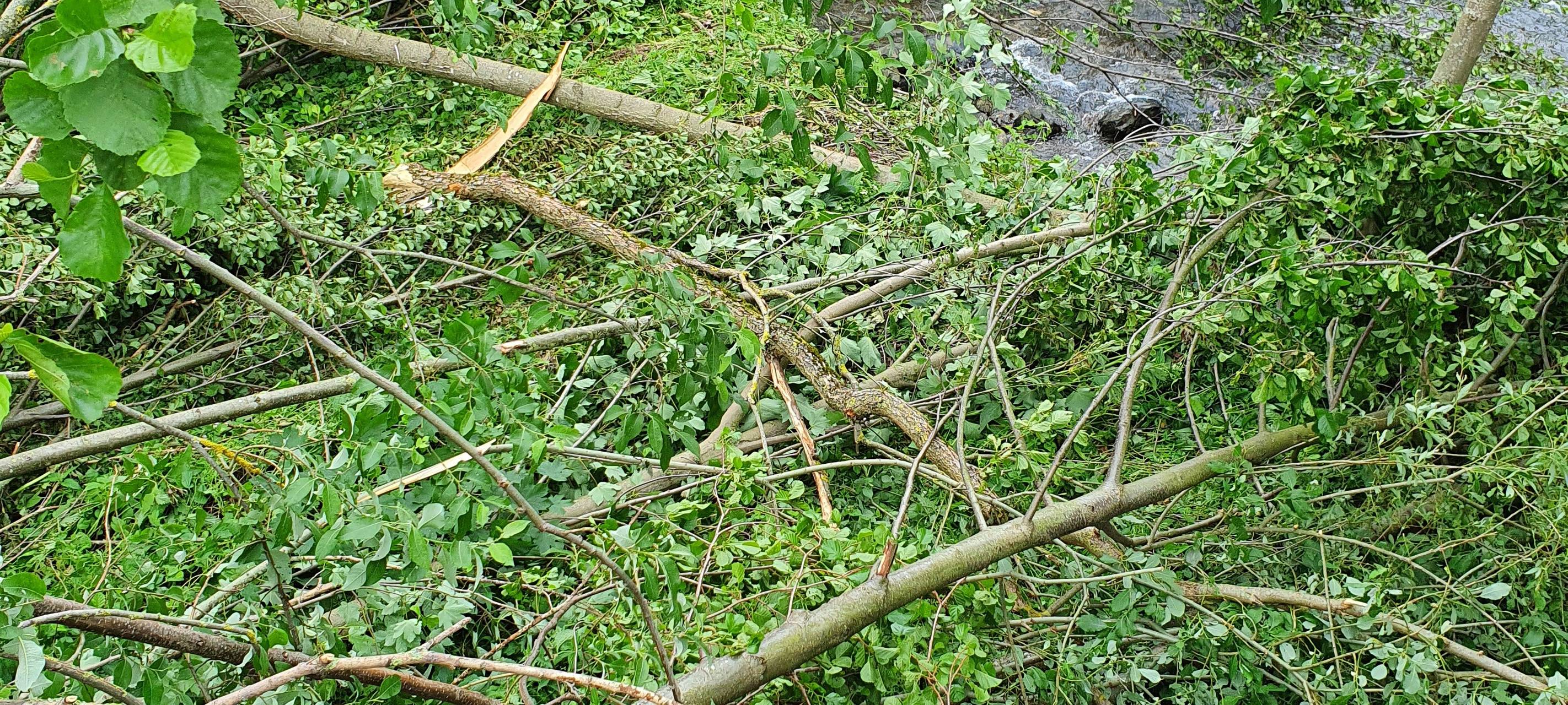 Mehr Tornados im Sauerland