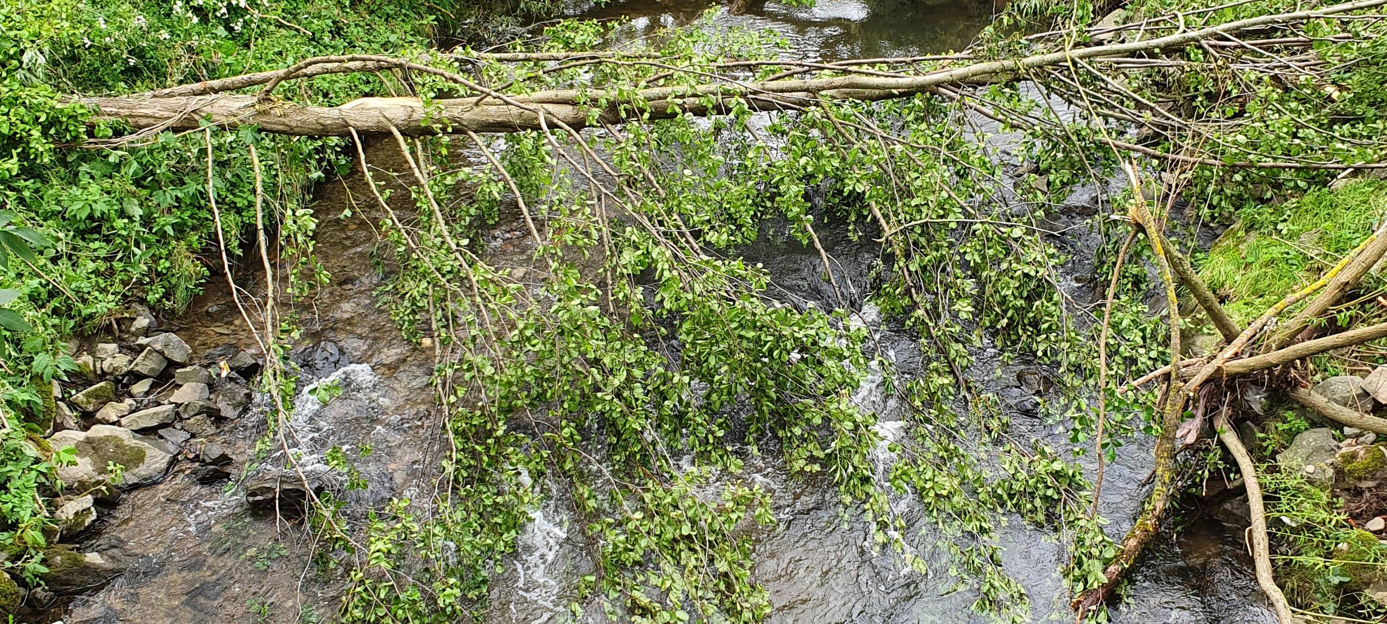 Mehr Tornados im Sauerland