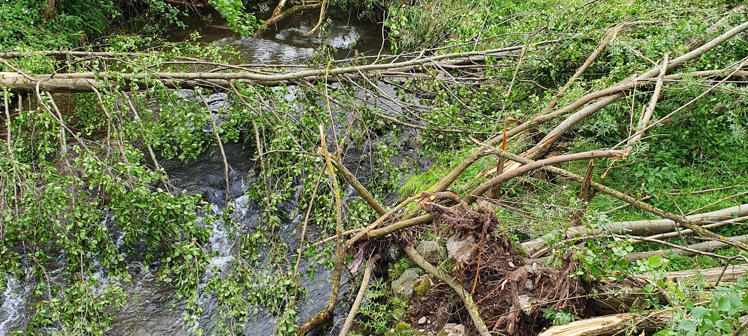 Mehr Tornados im Sauerland