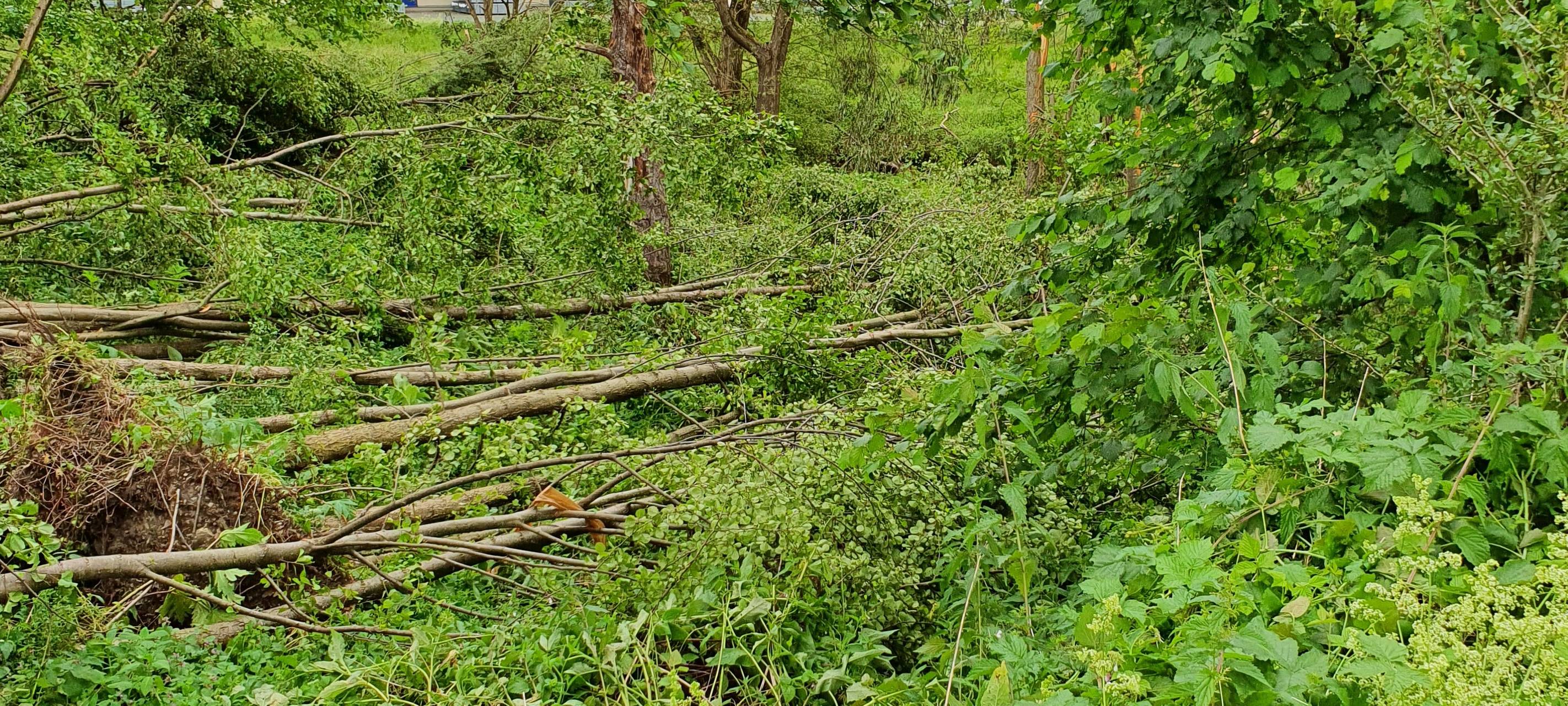 Mehr Tornados im Sauerland