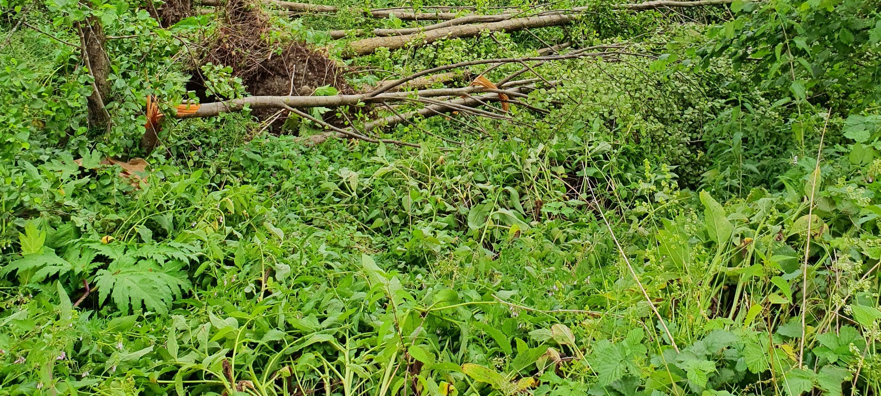 Mehr Tornados im Sauerland