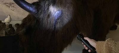 Arnsberg: Sauerland Museum verlängert Sonderausstellung