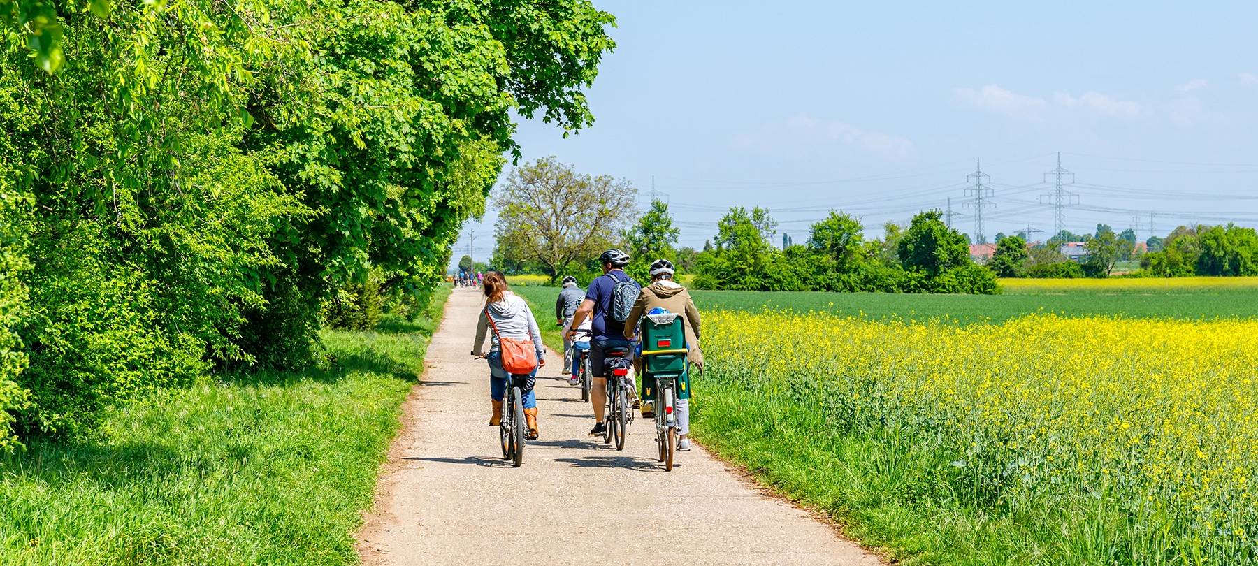 Meschede: Radfahrer sind gefragt