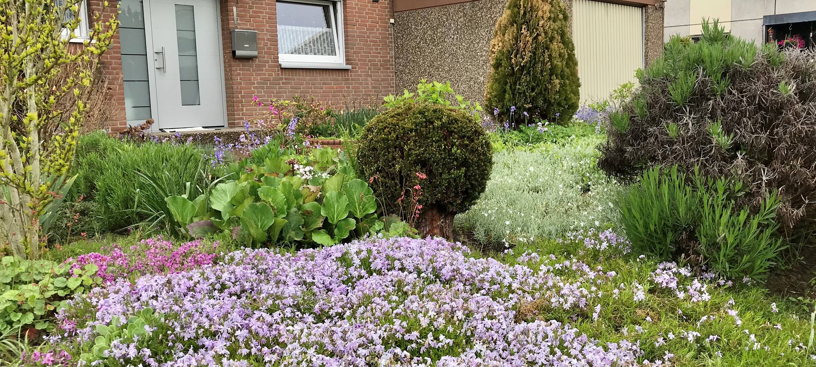 Vorgärten: Bunt statt grau im Sauerland