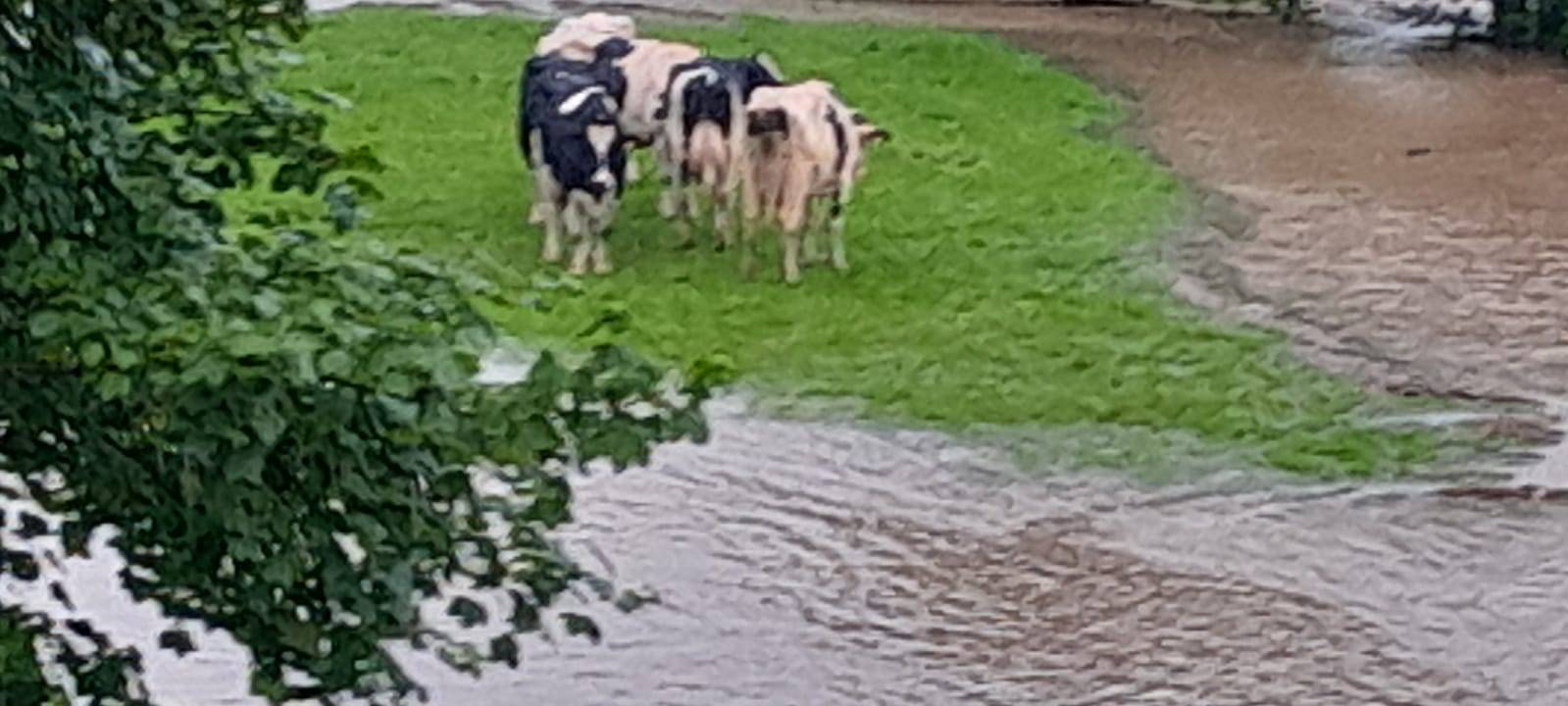 Großsperrungen im HSK bleiben - Rimberg ab morgen frei