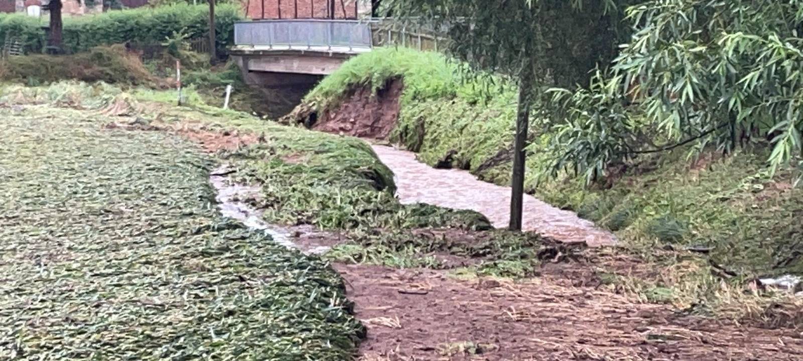 Fotos: Feuerwehr Marsberg/Stadt Marsberg