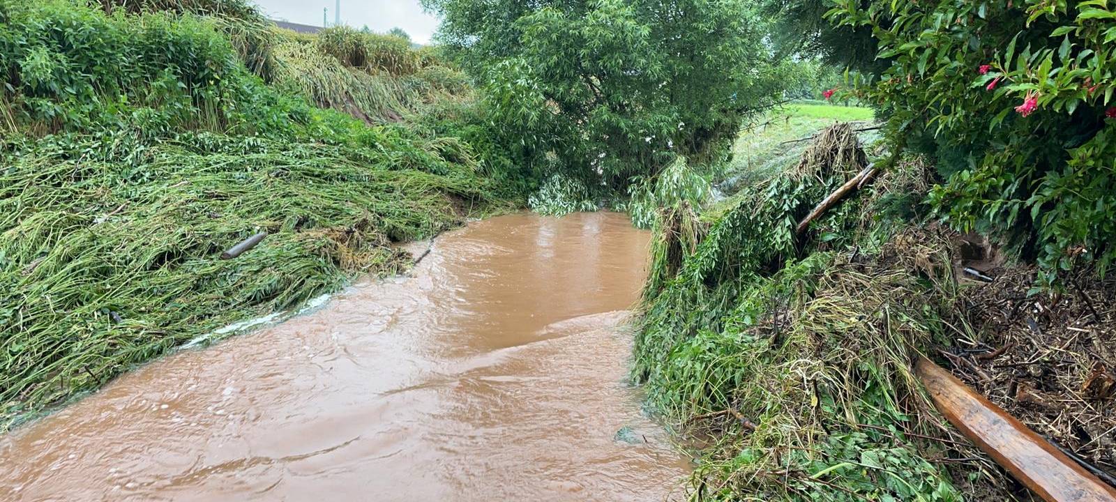Fotos: Feuerwehr Marsberg/Stadt Marsberg