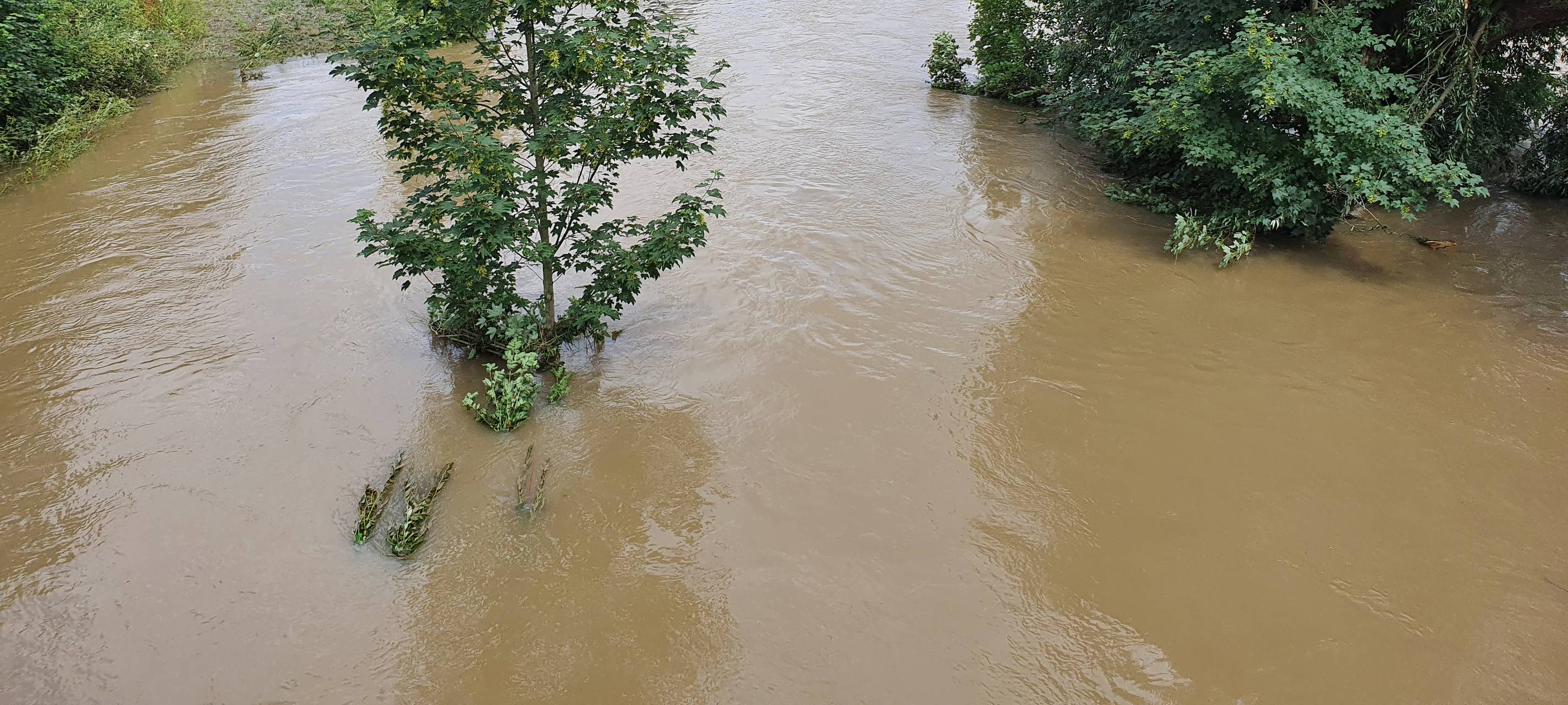 Kaum noch Schnee im Sauerland