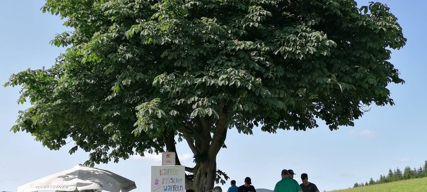 Das Sauerland spendet für "Lichtblicke"