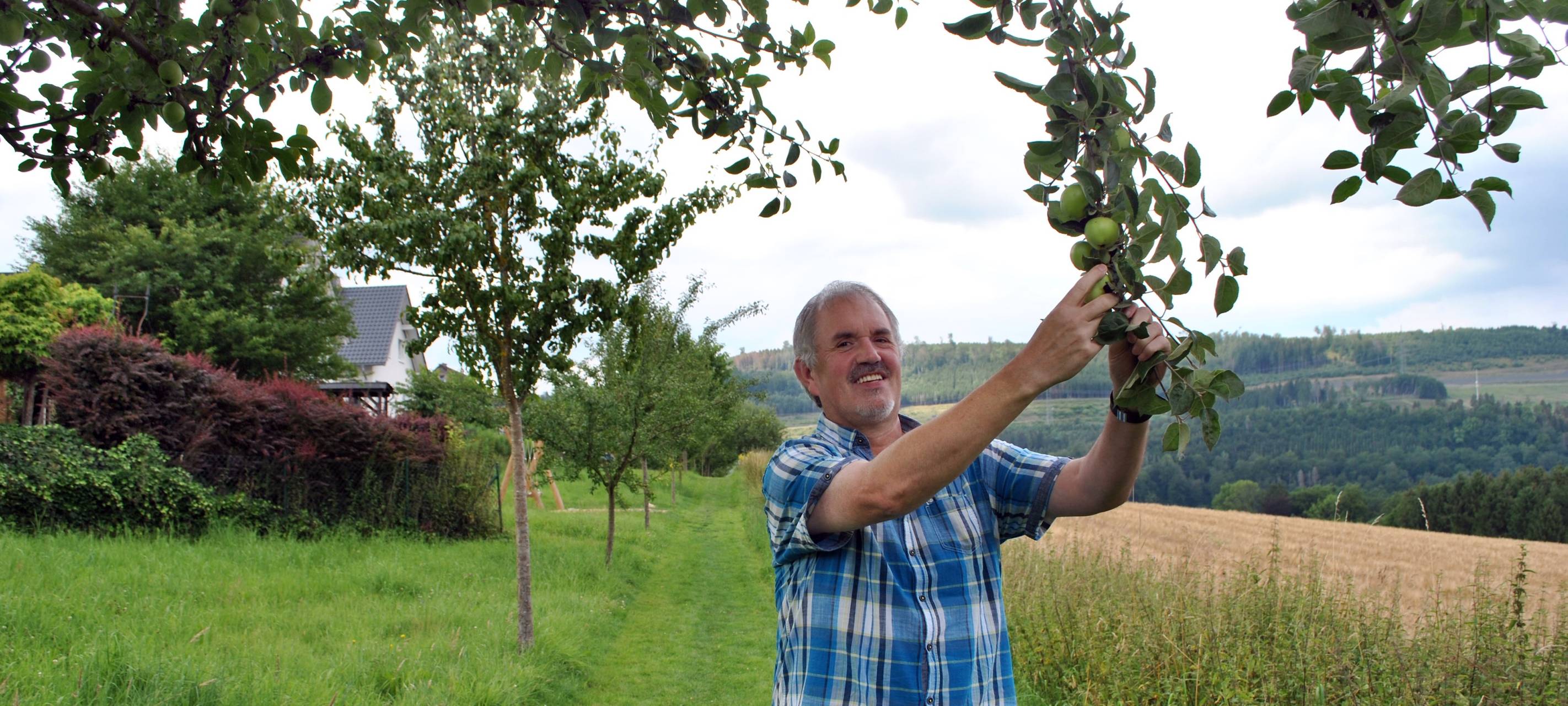 Erntezeit an Obstbaumallee in Bestwig