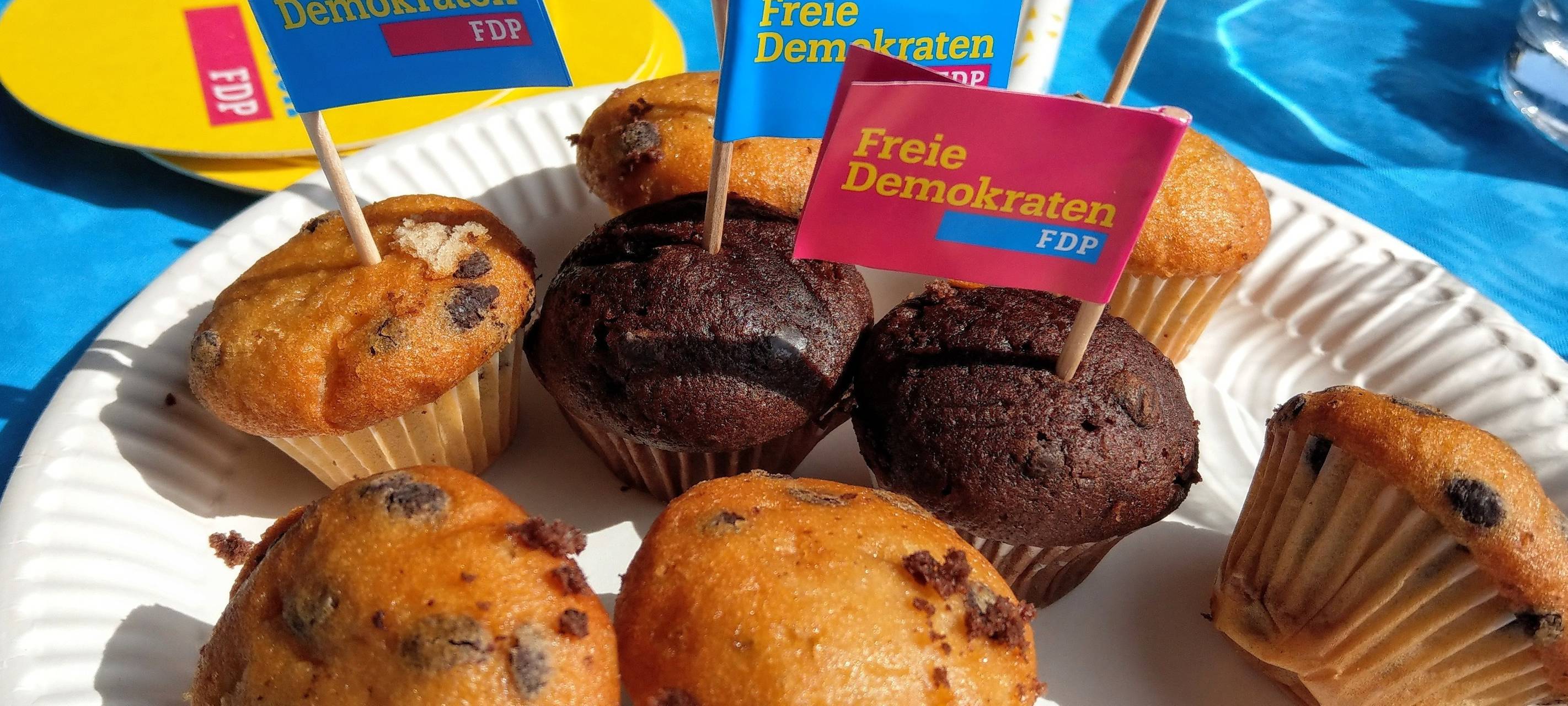 Wahlkampfauftakt der Sauerländer FDP