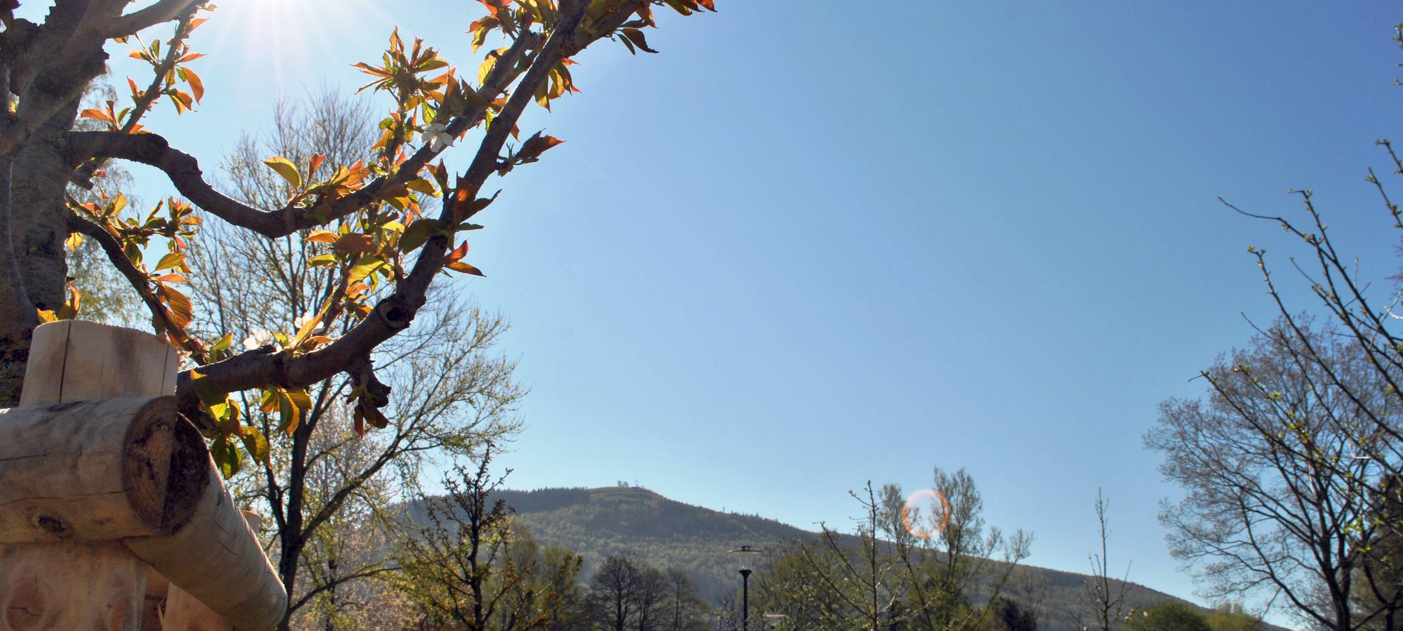 Sauerländer Obst für alle!