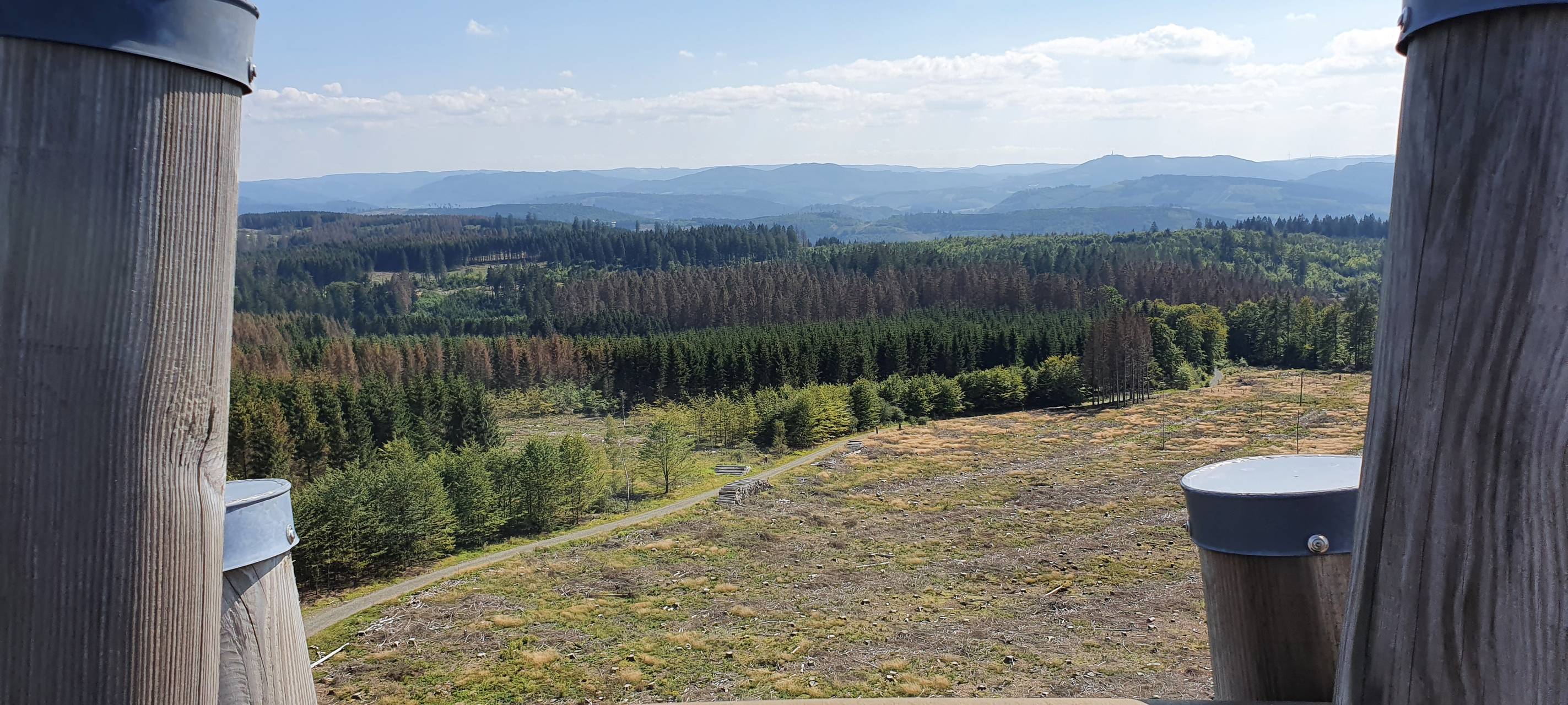 Sauerland-Waldroute schönster Wanderweg in Deutschland?