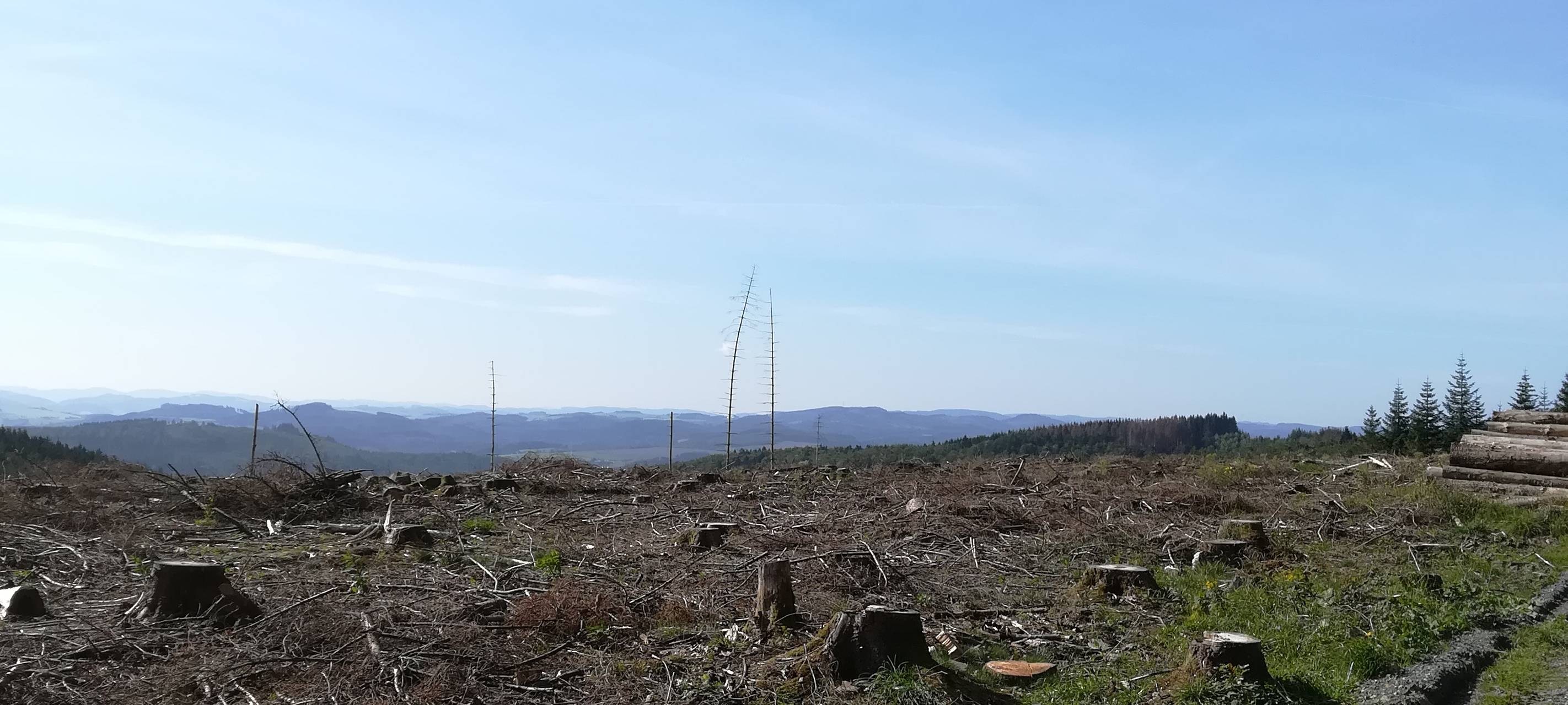 Medebach: Erstes Pflanzfest am Bromberg