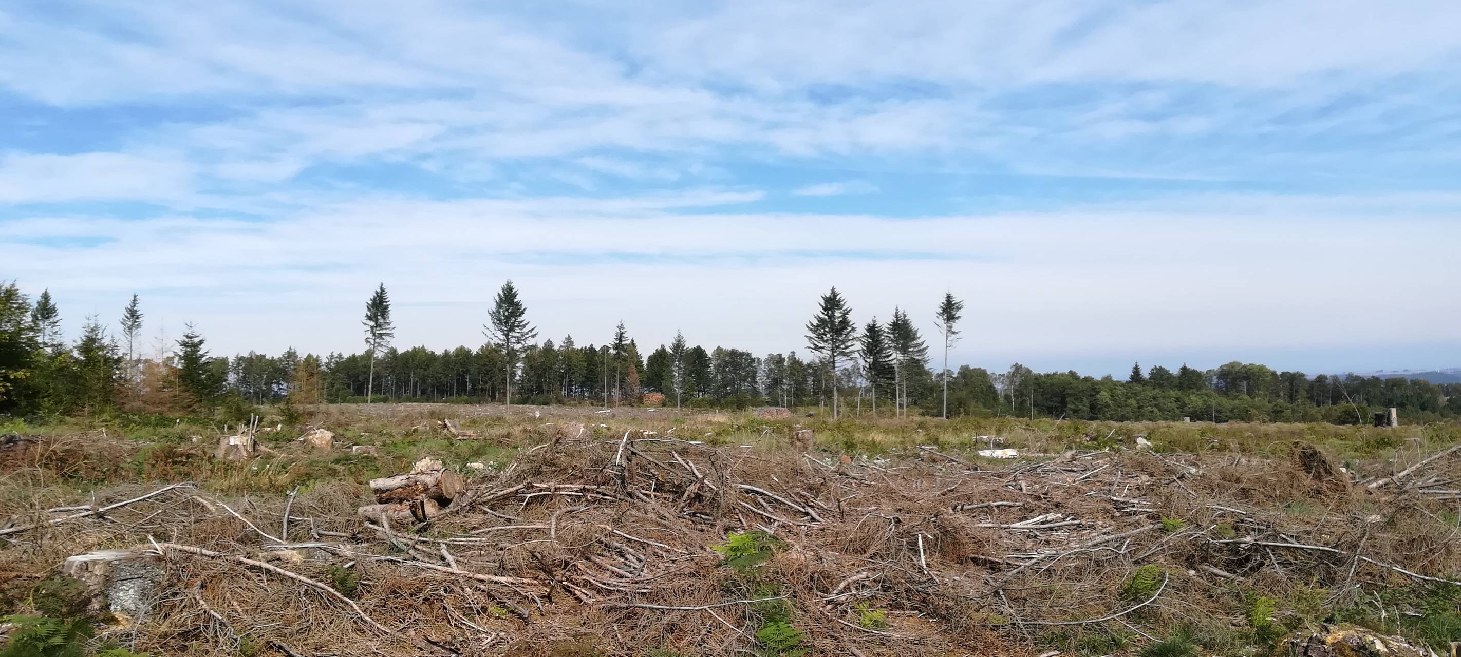 Verein Erneuerbare Energien Oberruhr für Windparks im Wald