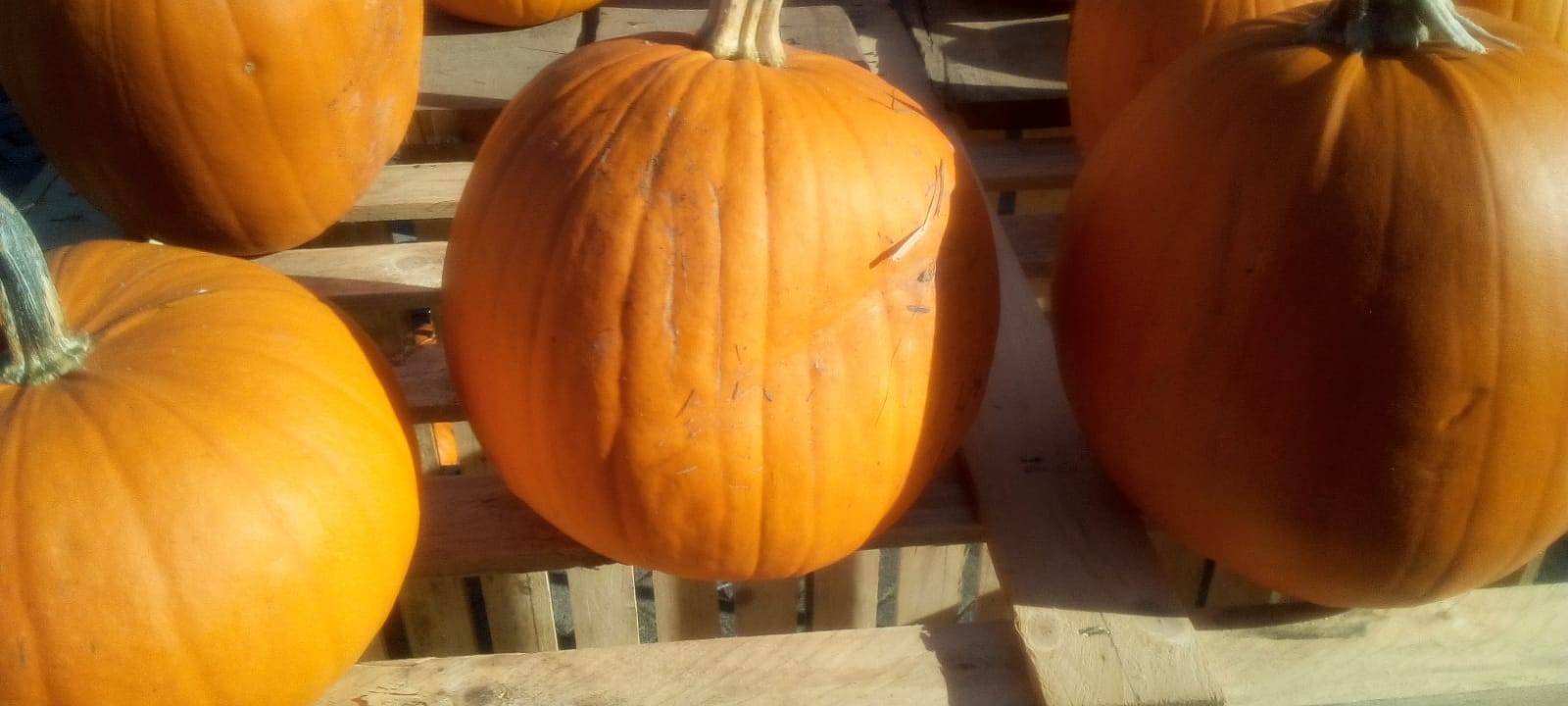 Herbstfeste im Sauerland