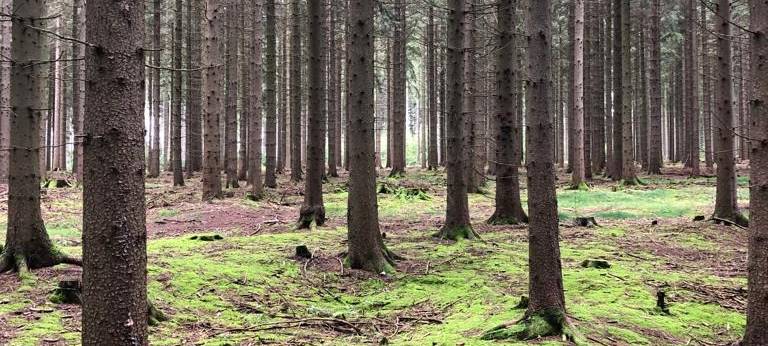 Ausstellung "Das Brotbaumregime"