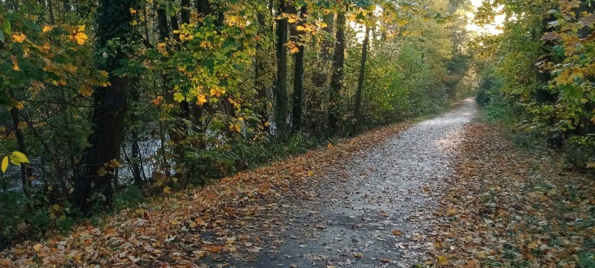 Sauerland-Tourismus: Herbstferien sind gut gelaufen