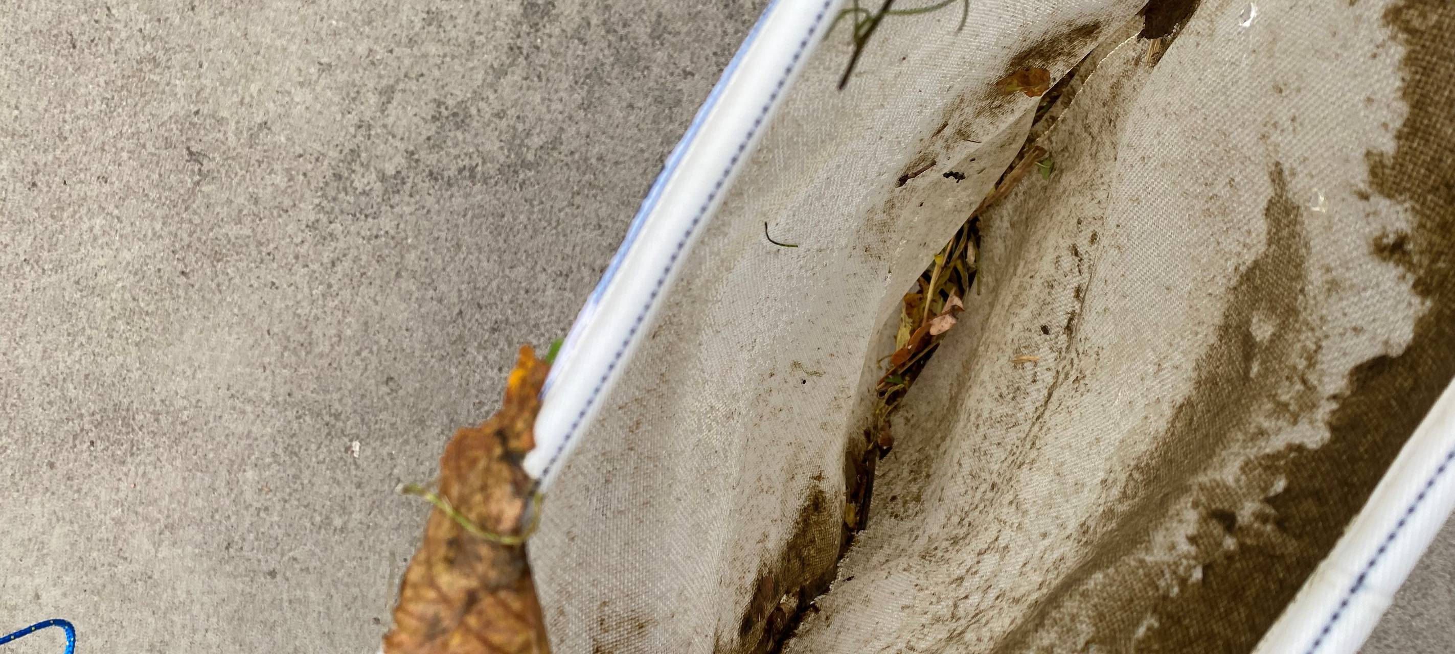 Sekundarschule am Eichholz in Arnsberg sammelt Mikroplastik in der Ruhr