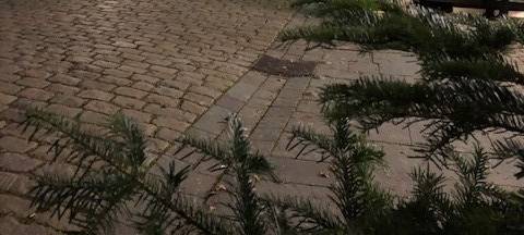 Arnsberger Weihnachtsmarkt 2021