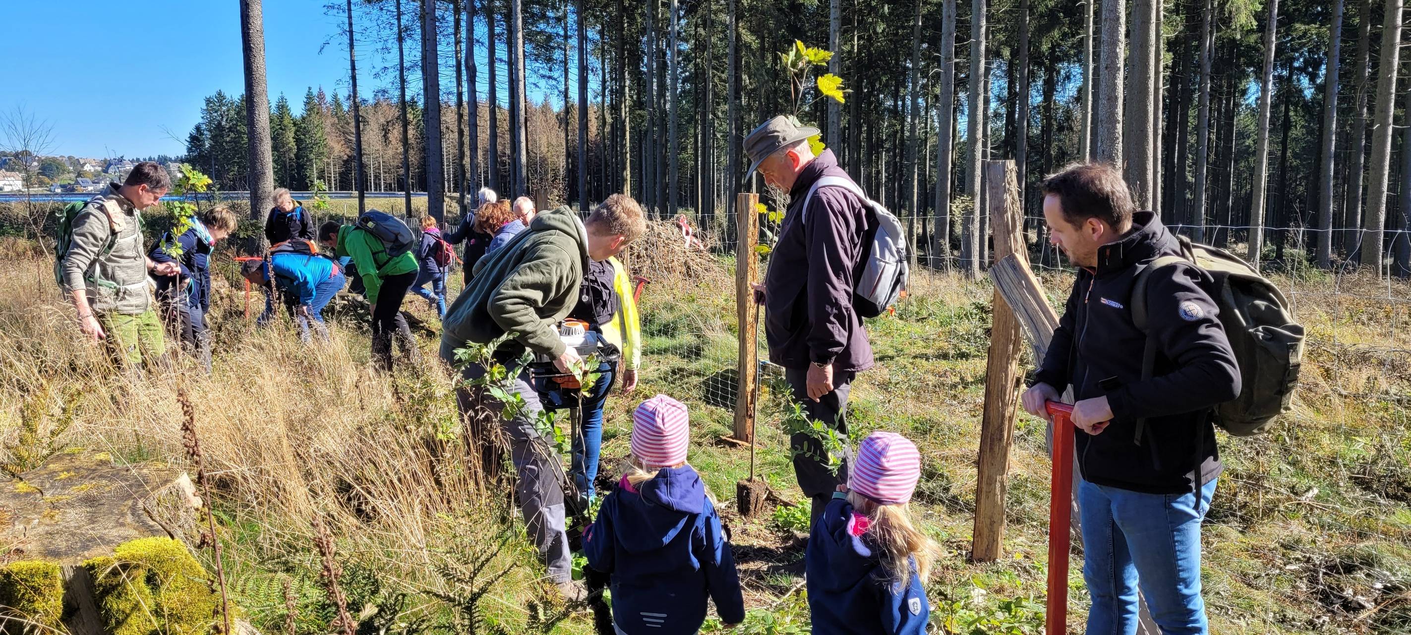 In Winterberg werden weiter Baumpaten gesucht