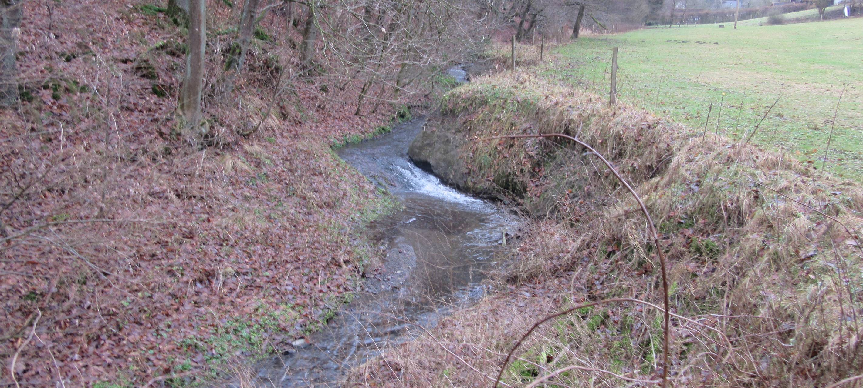 Über eine halbe Million für Briloner Tal