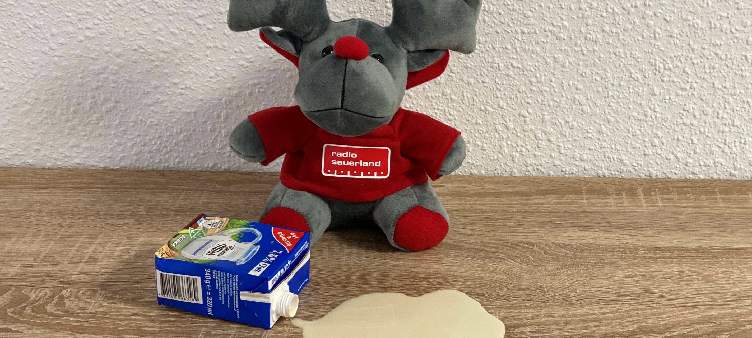 Emil allein im Sender