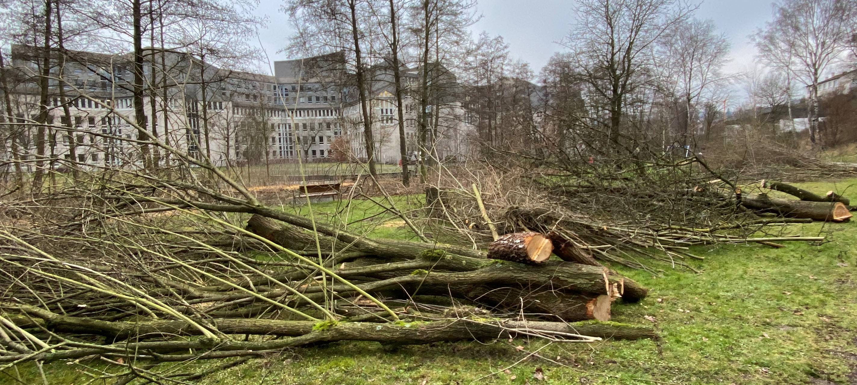 Bauarbeiten im Hennepark in Meschede