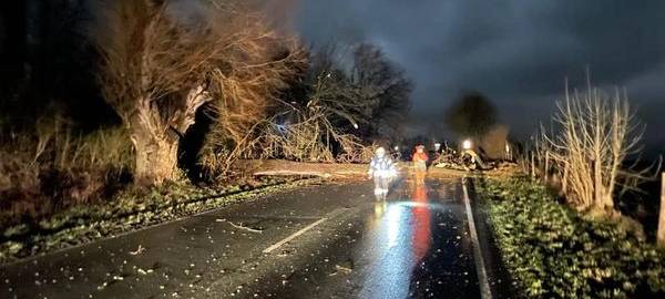 Sturm lässt Bäume umkippen