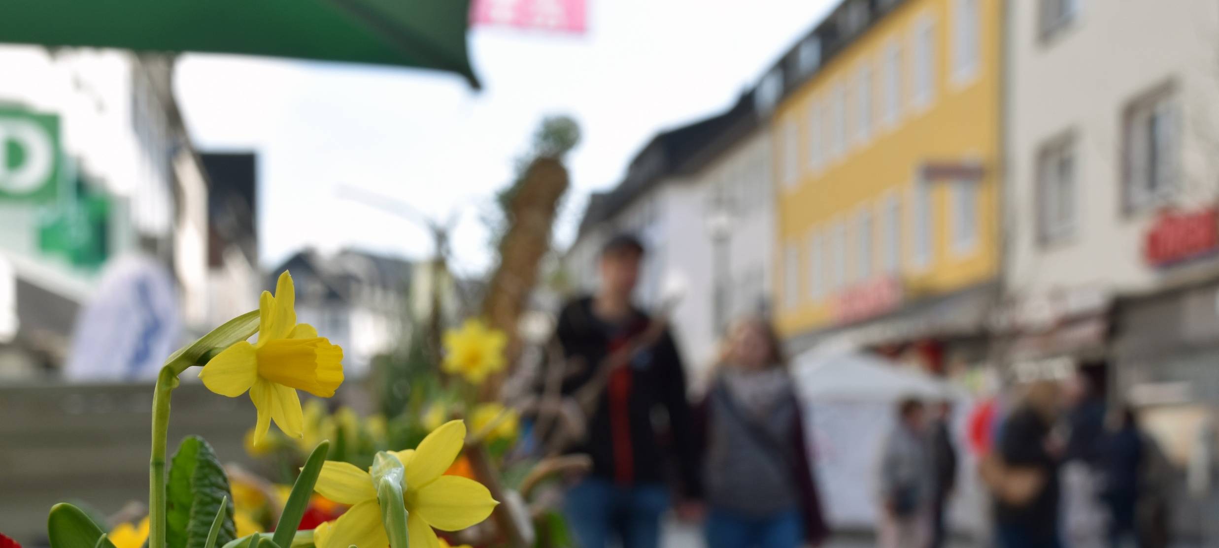 Bilanz: Mescheder Frühling