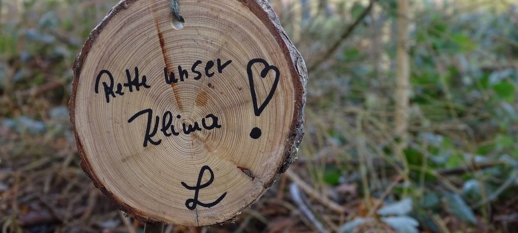 vhs Arnsberg Sundern will für Klimaschutz begeistern