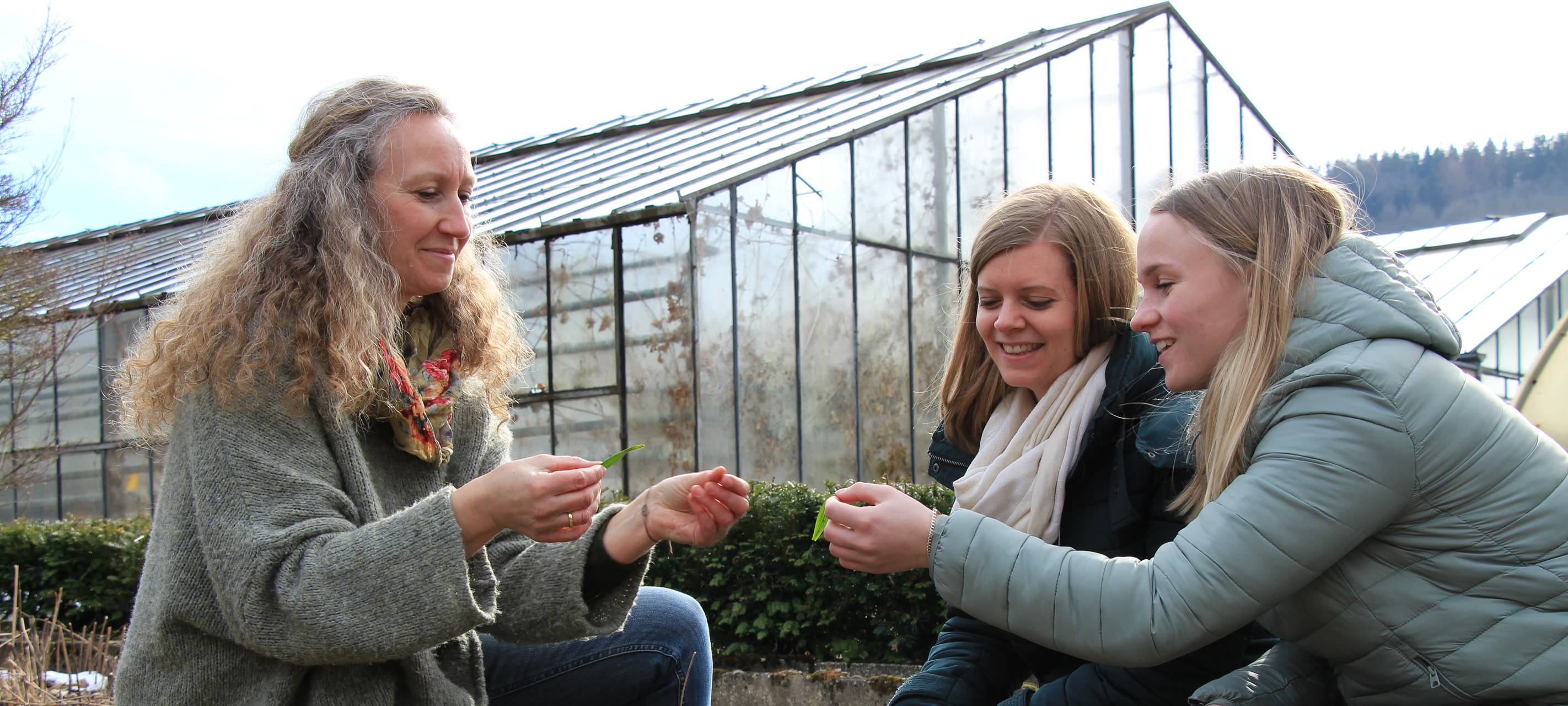Projekt: Menschen im Sauerland zusammenbringen