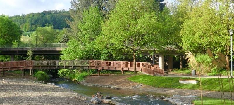 Meschede: "Henne in Flammen"