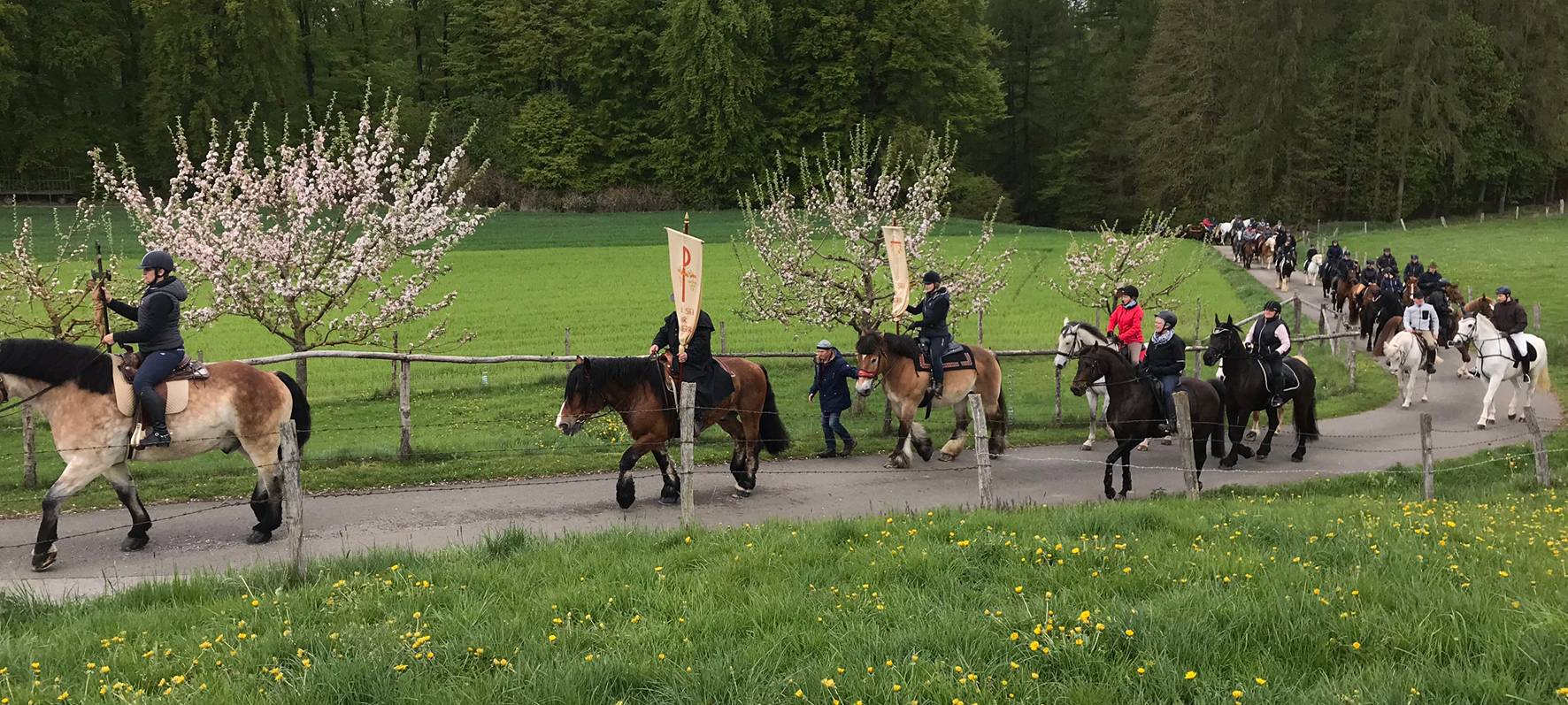 Marsberg: Pferdeprozession in Giershagen