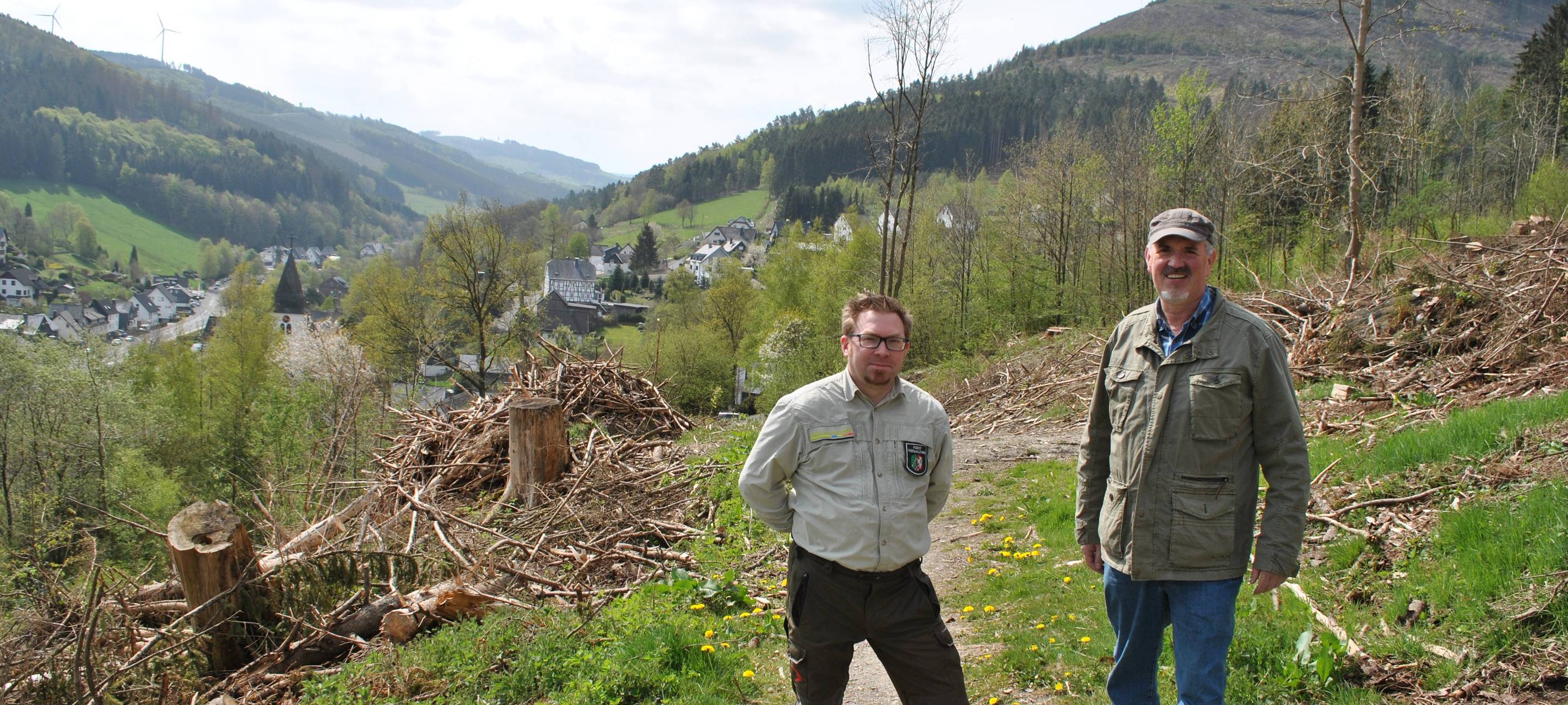 Über 7.000 neue Bäume für Bestwig-Ramsbeck