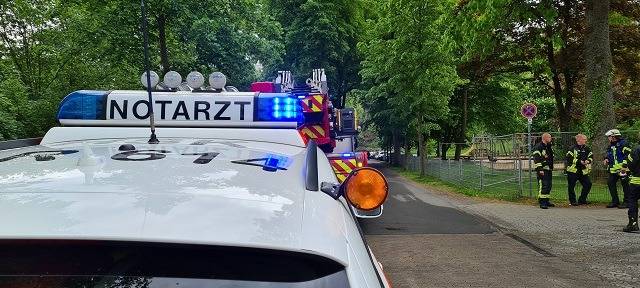 Arnsberg: Person im Eichholz abgestürzt