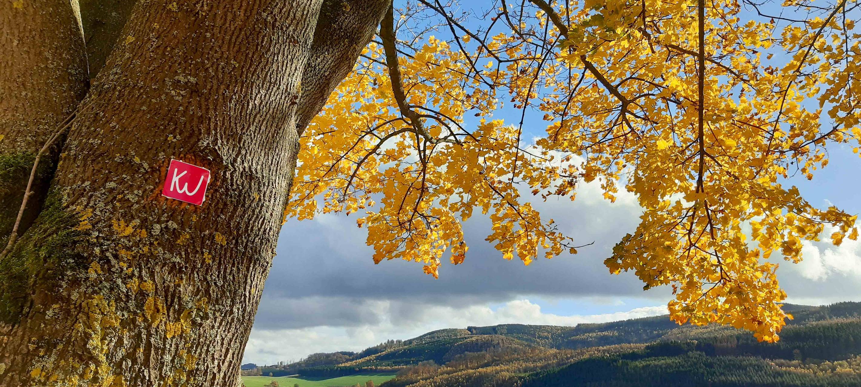 Spiritueller Wanderweg im Sauerland: Von Kloster zu Kloster