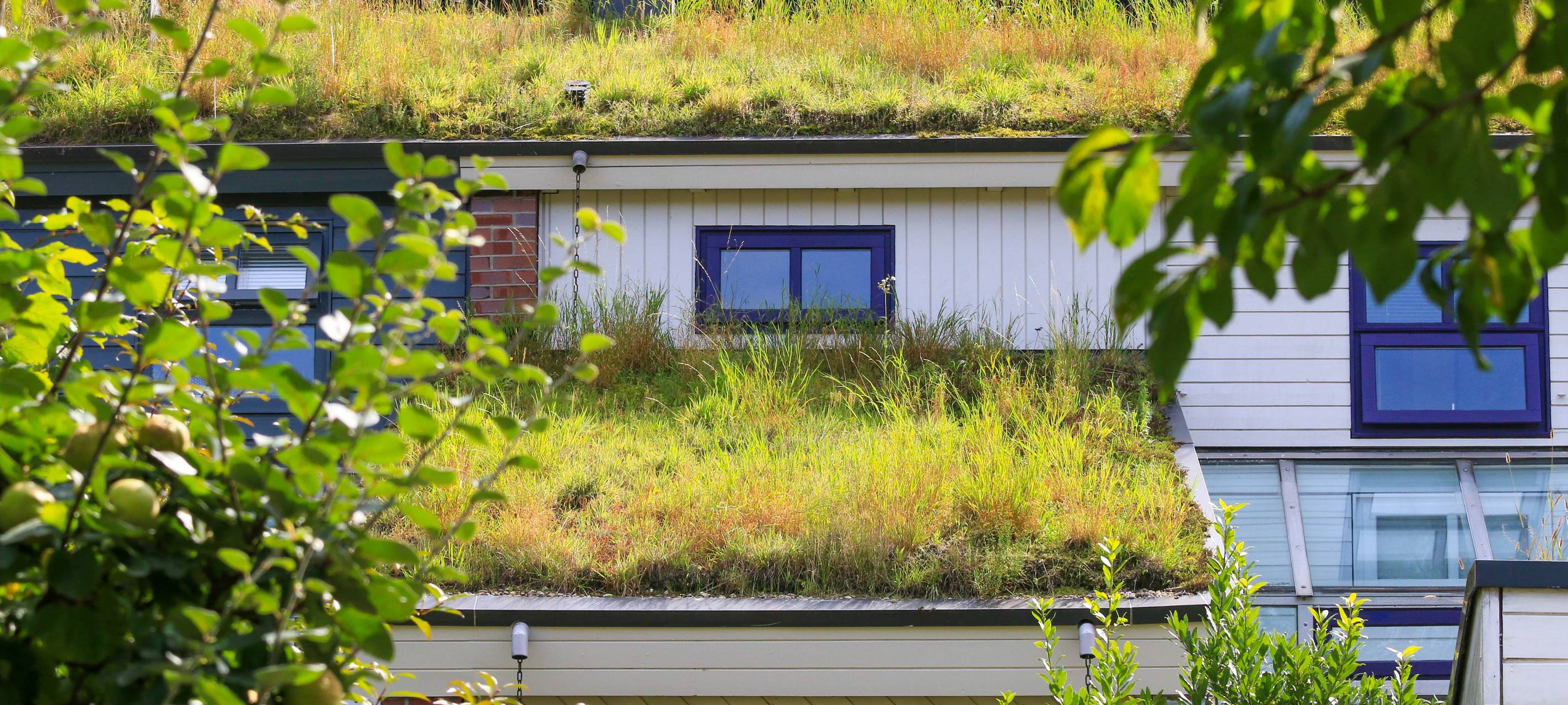 Klimaschutzpreis in Schmallenberg und Arnsberg