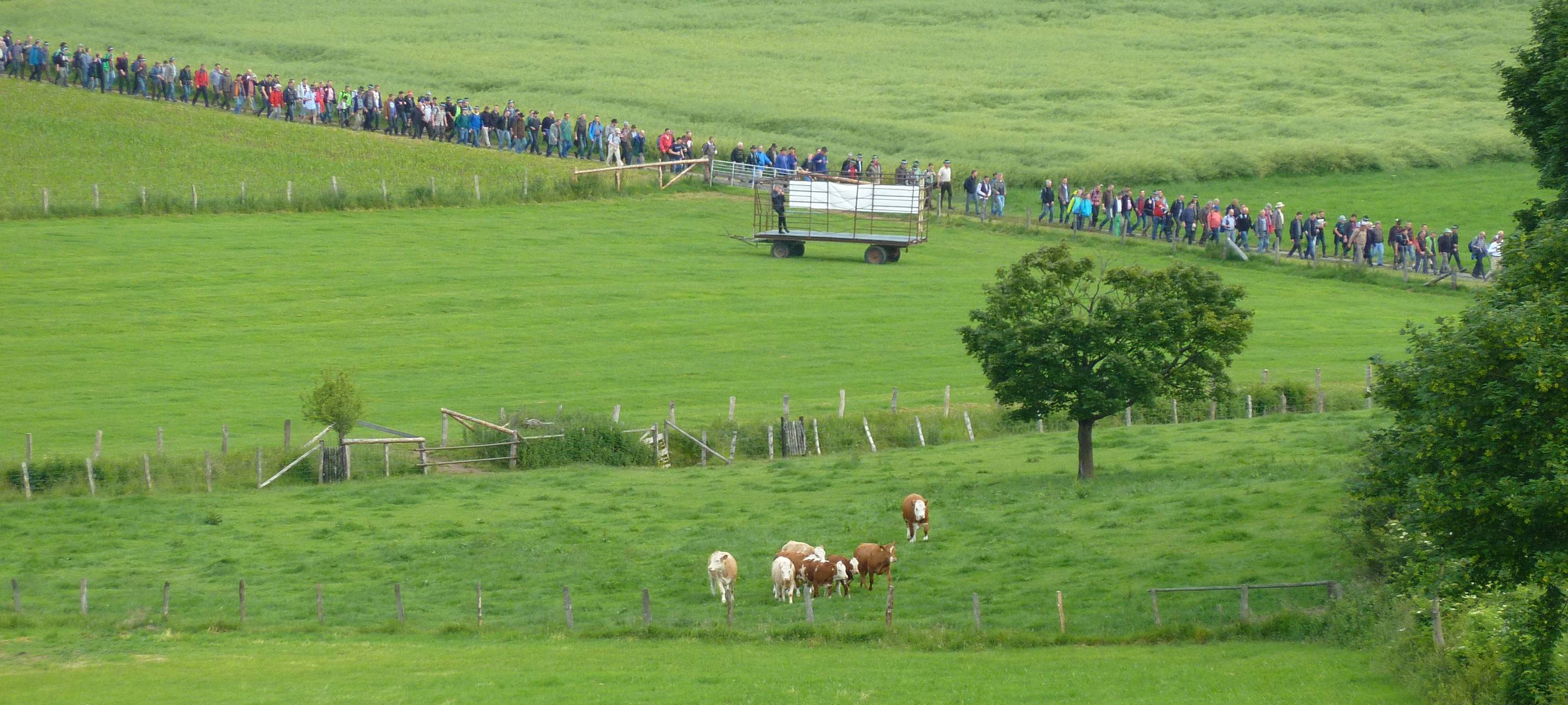 1000de Männer bei Briloner Schnade