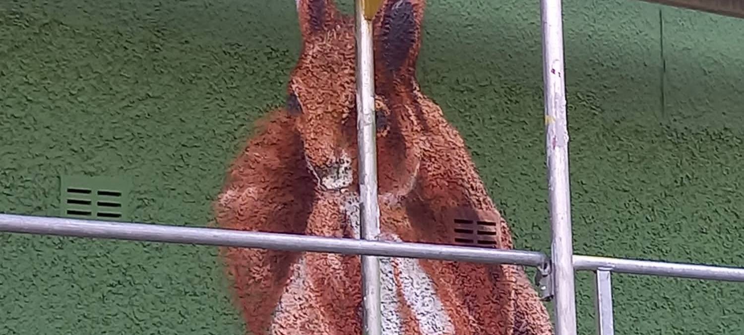 Bestwig: Graffiti am Wasserwerk Alfert