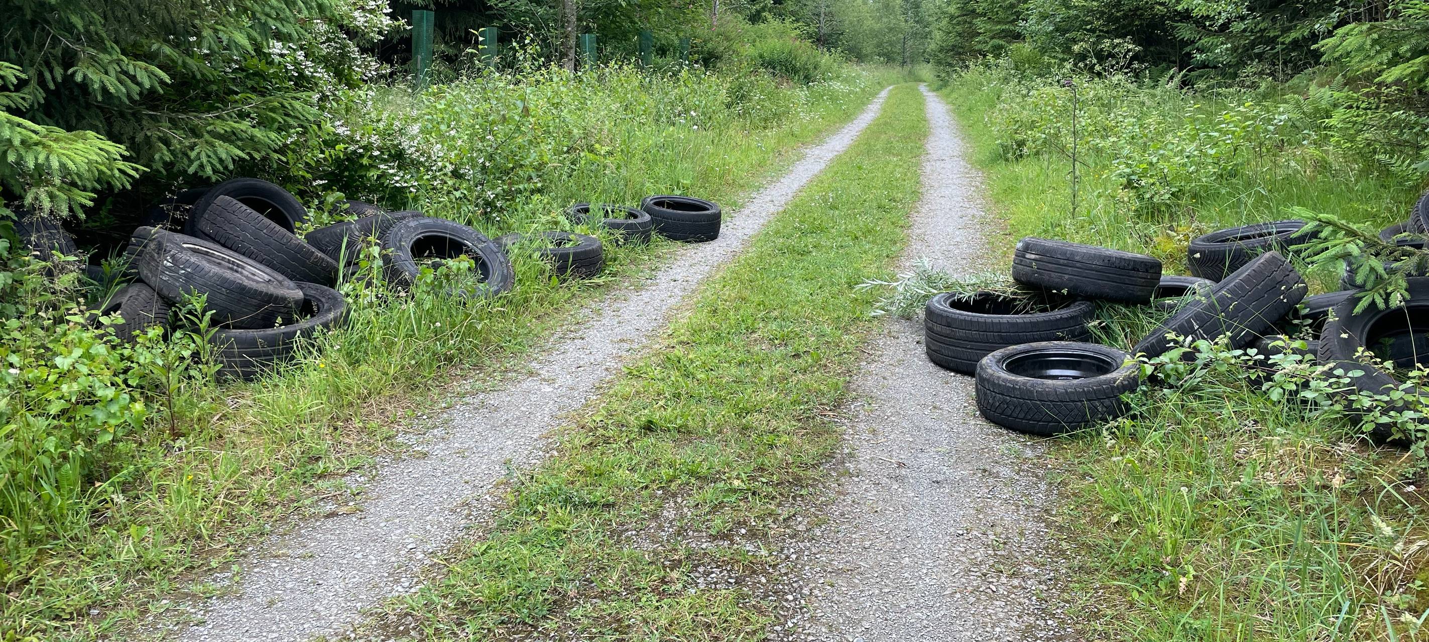 Brilon: Altreifen in den Wald gekippt