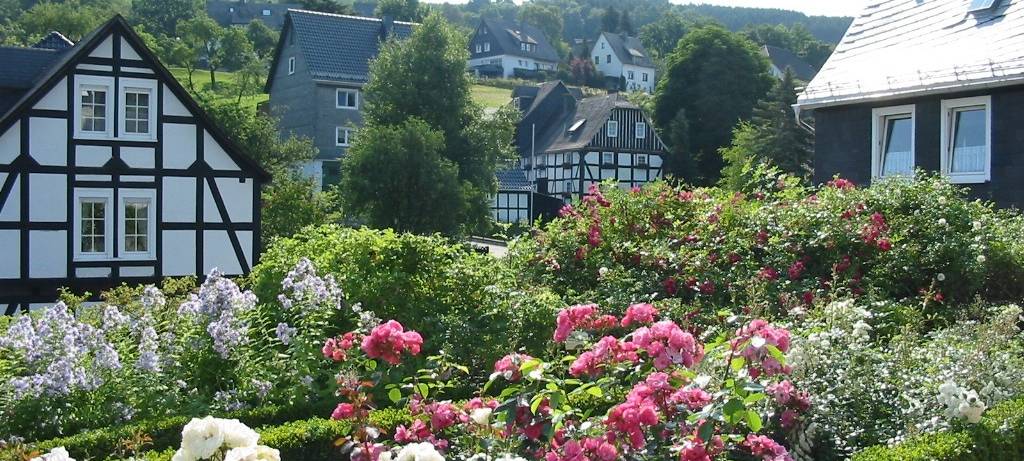 Kanaluntersuchungen in Olsberg-Assinghausen