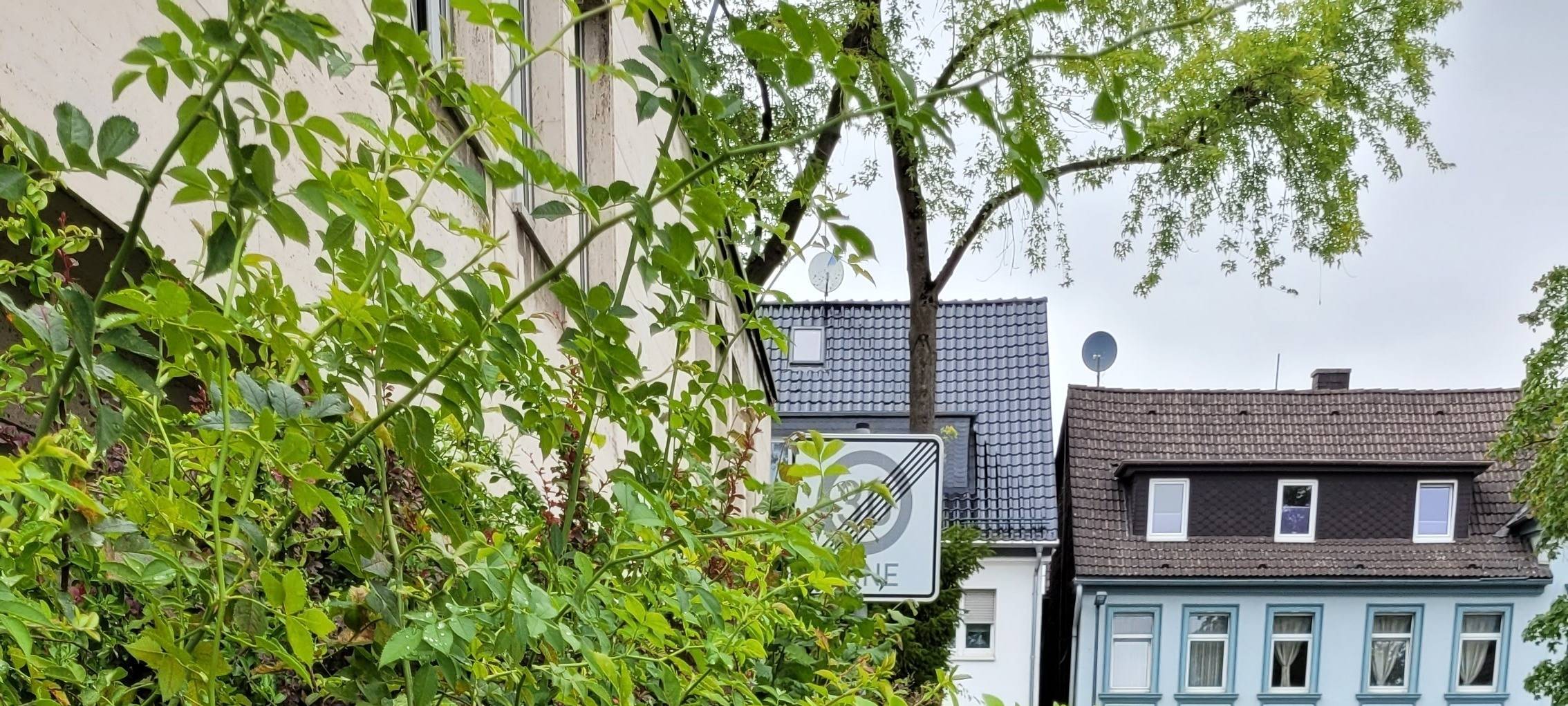 Appell Stadt Brilon: Geh- und Fußwege säubern