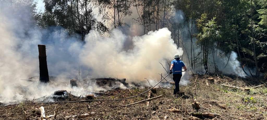 Zum Nachhören: Feuerwehr Sundern nach Waldbrand