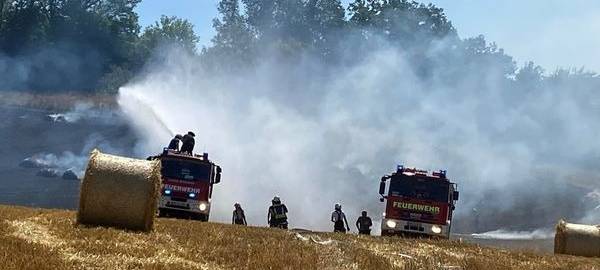 Stoppelfeld und Wald brennen in Sundern
