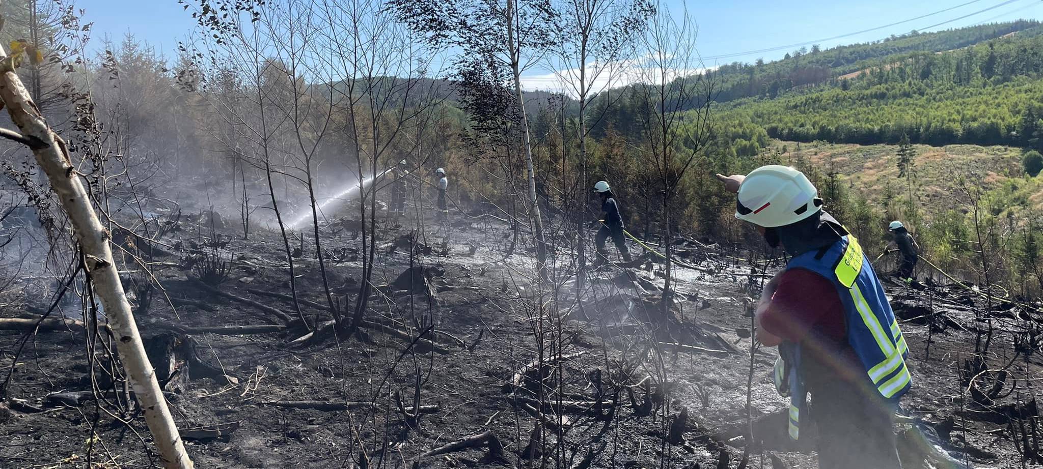 Zum Nachhören: Ein Jahr nach dem Waldbrand in Sundern