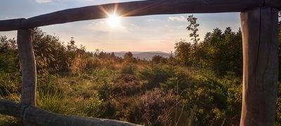 Projekt ÖKOPROFIT soll Sauerländer Unternehmen helfen