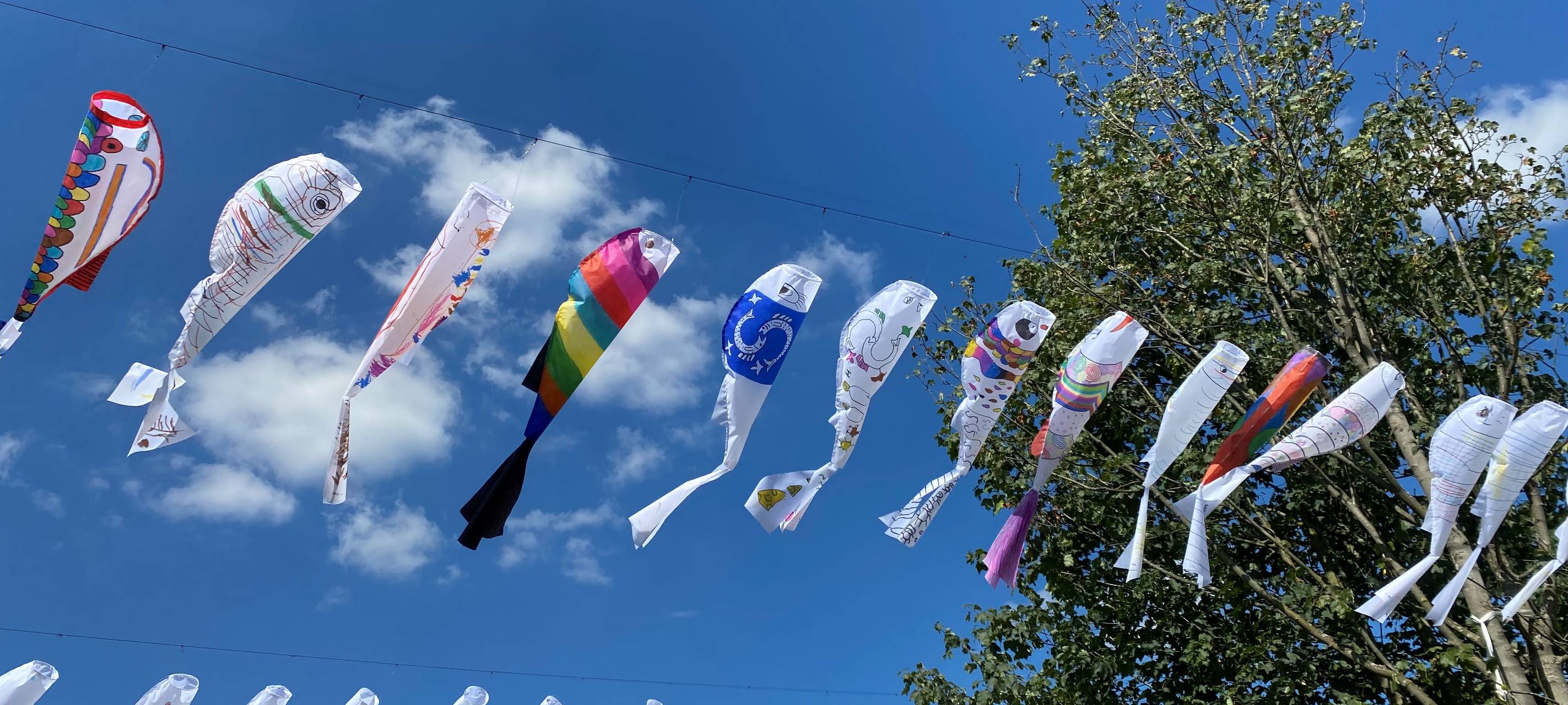 Zum Nachhören: 750 Fische in Freienohl