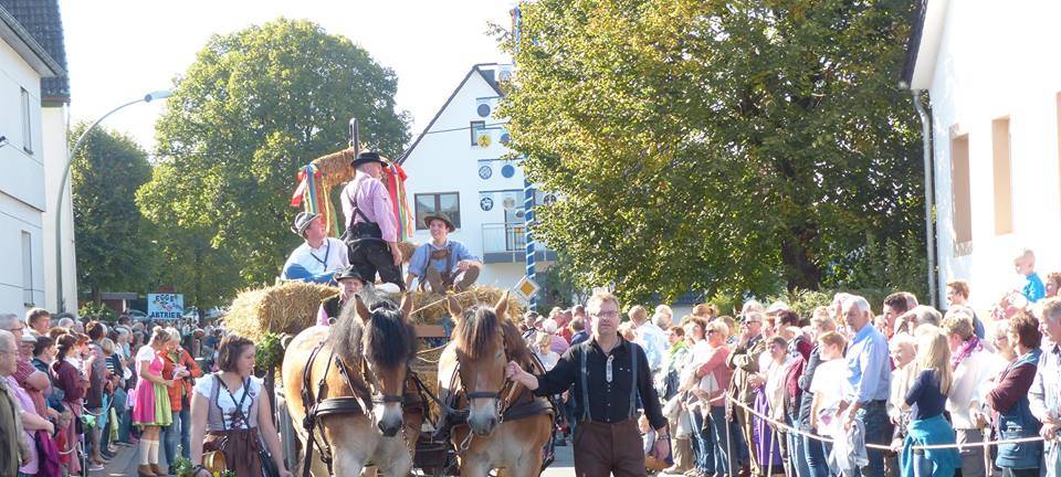 Eggeabtrieb in Brilon-Rösenbeck am 1.Oktober '22